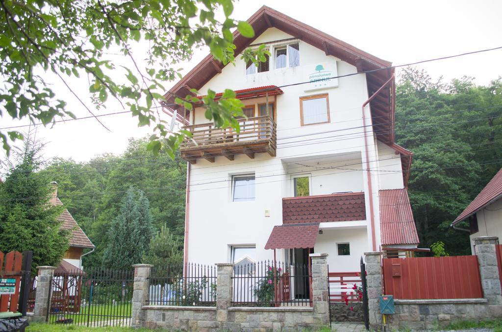Pensiunea Arinul Sovata Exterior foto